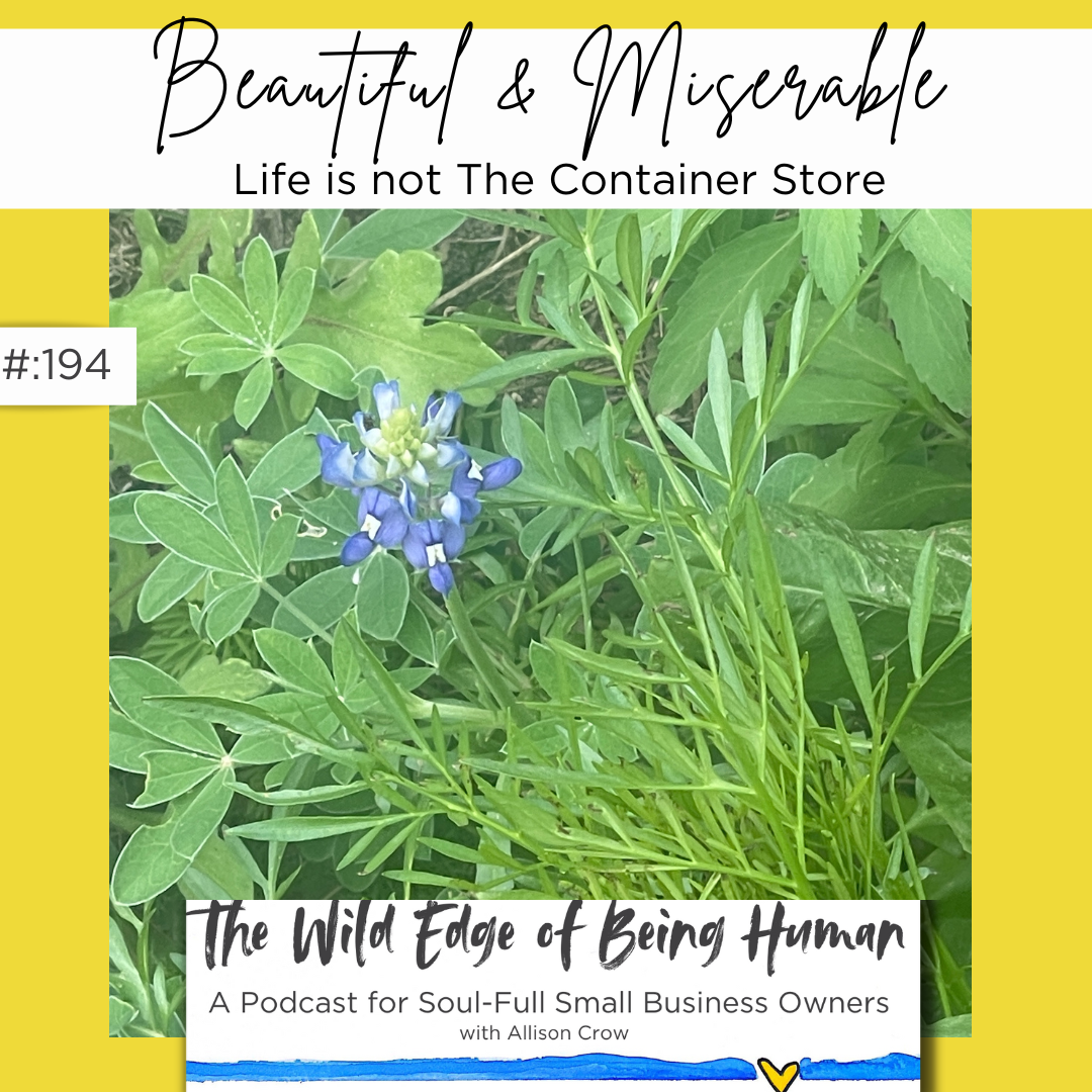 Beautiful & Miserable: Life is not The Container Store
