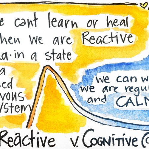reactive vs cognitive card by allison crow Hand drawn card that shows a line between a reactive state moving into a calm and regulated state (cognitive) that says we can't learn or heal when we are in a reacitve state